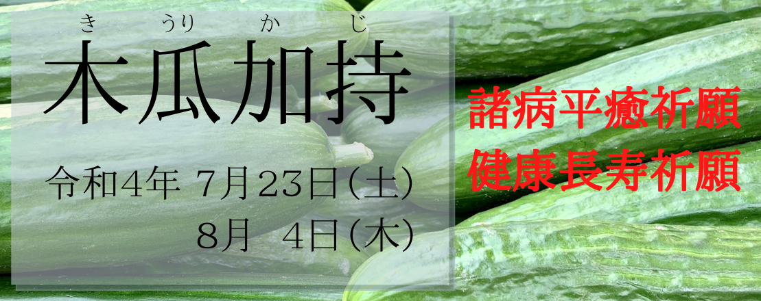 木瓜加持2021年度